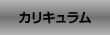 カリキュラム