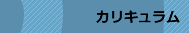カリキュラム