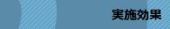 実施効果