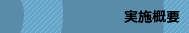 実施概要